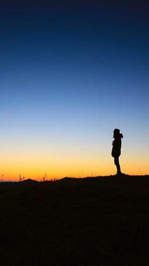 哈尔滨seo工具截图1