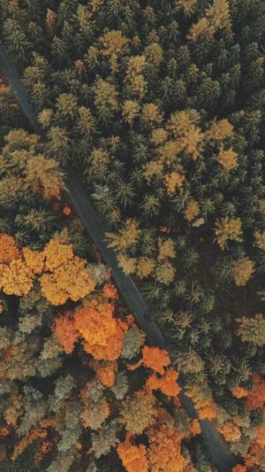 建设网站的网络公司截图1