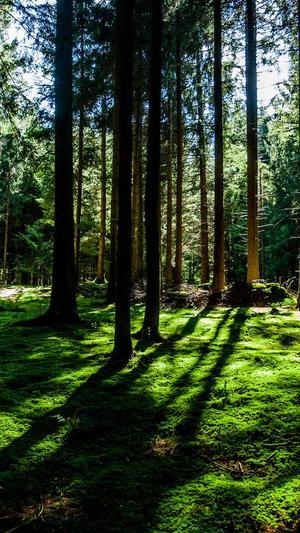 如何建设一个企业网站截图3