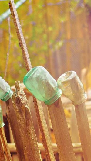 免费蜘蛛池使用截图2