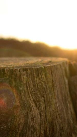 seo营销推广工具引流截图3