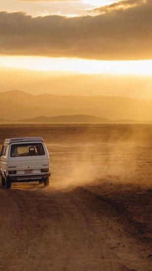 高收录域名做泛目录截图2