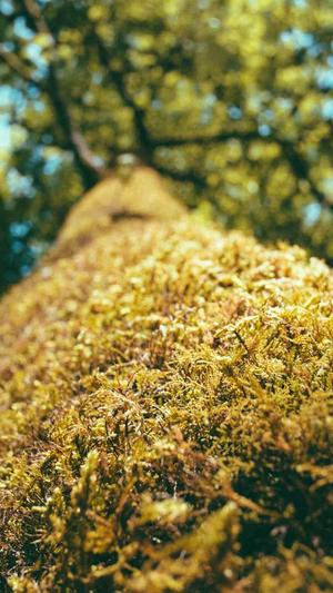 高酷蜘蛛池官网截图2