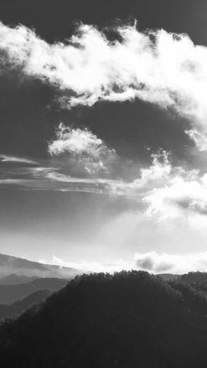 滴滴蜘蛛池截图4