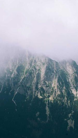 蜘蛛池是什么写的?截图2