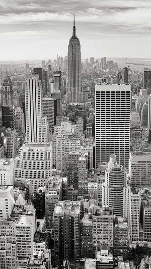 绍兴seo优化截图1