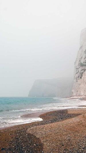 蜘蛛池软件好用截图1