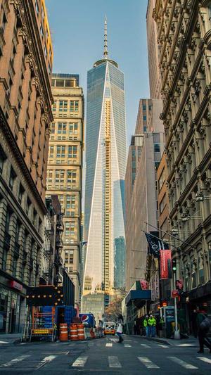 秒收录蜘蛛池截图2