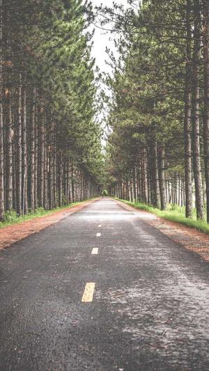 房产网站建设截图1