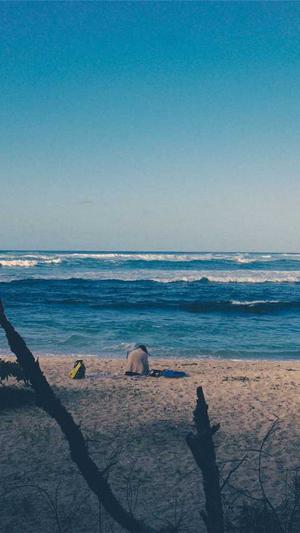 河南新站seo优化工具截图1