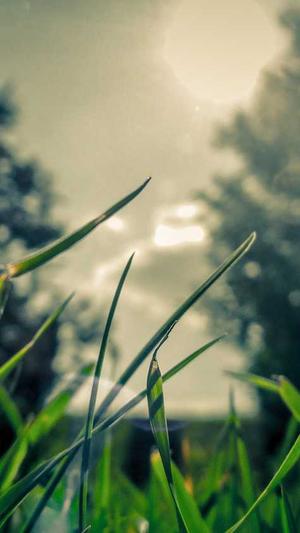 莲花泛目录站群程序截图1