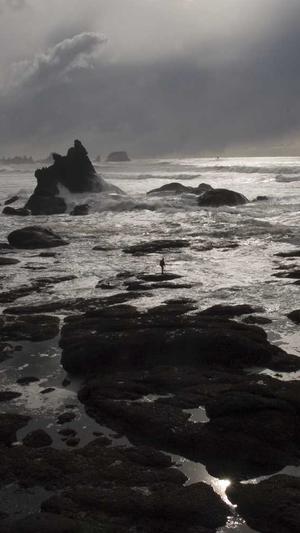 泛目录哪个平台好截图2