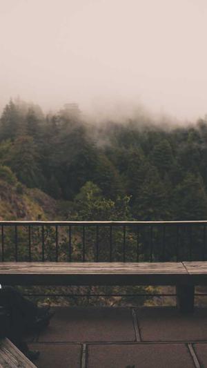 服务周到的上海网站建设公司截图2