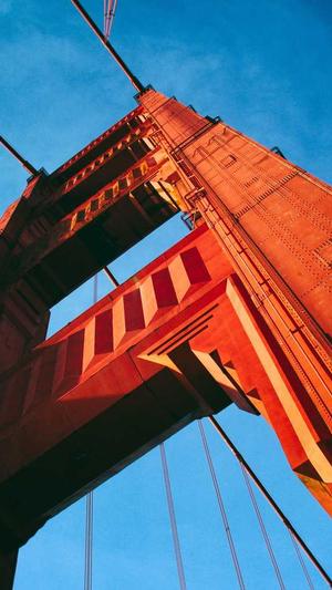 seo图片优化截图1