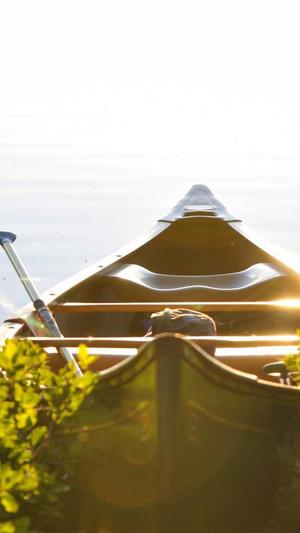 蜘蛛池怎么看真假鉴别截图2