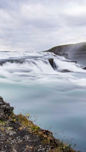 自己建蜘蛛池的方法截图1
