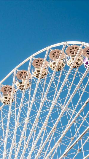 adwords对seo排名截图3