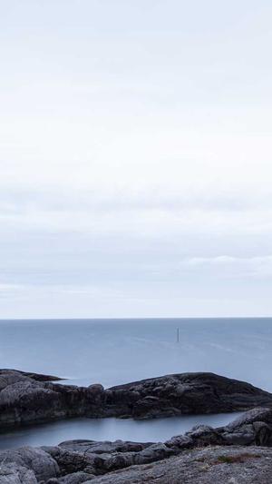 站长工具seo推广秒收录截图4