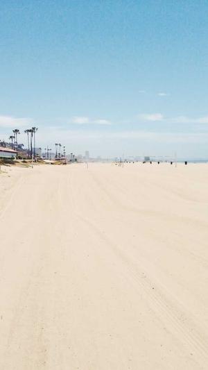 seo优化推广软件截图3