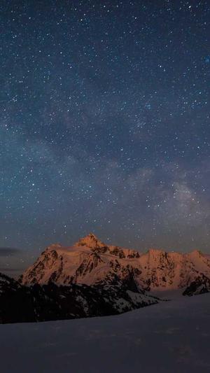 seo网站日志分析工具截图2