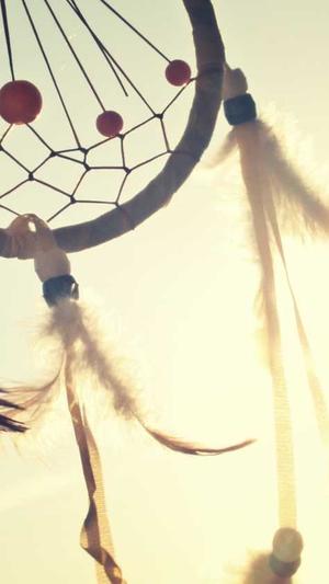 丰城网站建设截图1