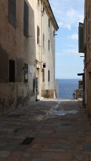 蜘蛛池没蜘蛛怎么回事截图1