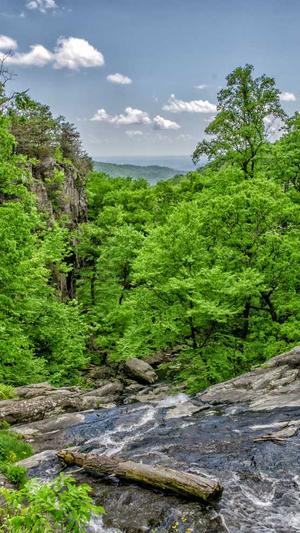 搜狗泛目录怎么快速收录截图1
