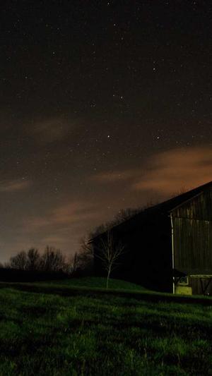 用蜘蛛池会降权吗截图1