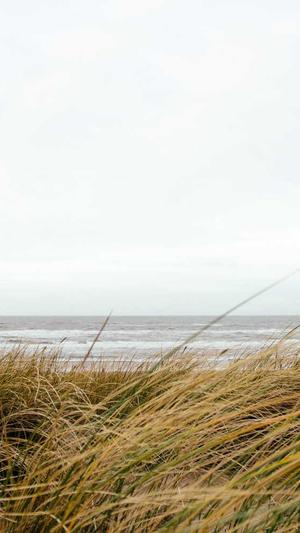 南宁网站建设公司截图5