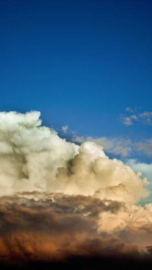 泛目录360蜘蛛池截图1