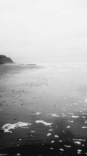 哈尔滨seo工具截图2