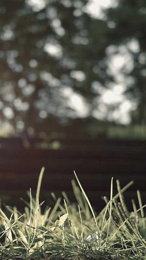 湖州网站建设截图1