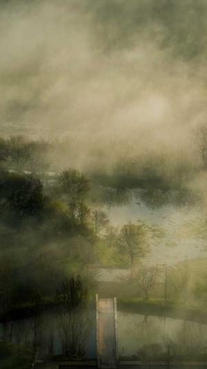 上海关键词seo优化工具截图2