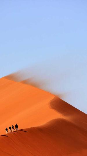 公司网站seo优化截图1