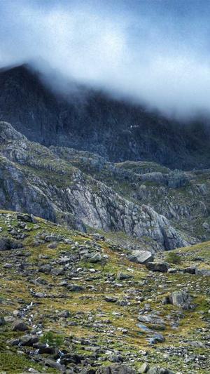 山西搜狗蜘蛛池租用截图4