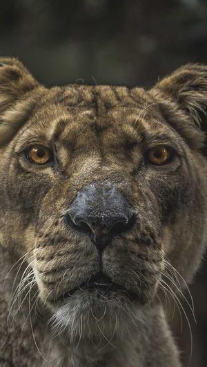 泛目录链接优化截图2