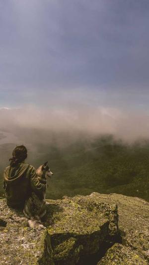 seo营销推广工具引流截图1