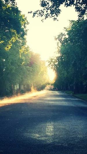 网站seo优化方法截图3