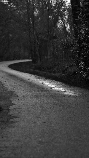 南昌建设企业网站截图1