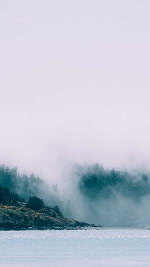 蜘蛛池是什么材质做的截图5