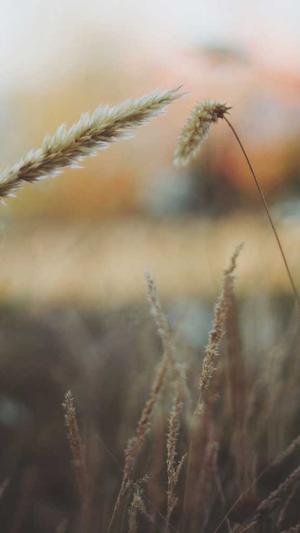 常熟 网站建设截图4