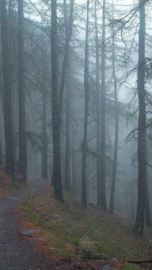 免费网站建设网站截图1