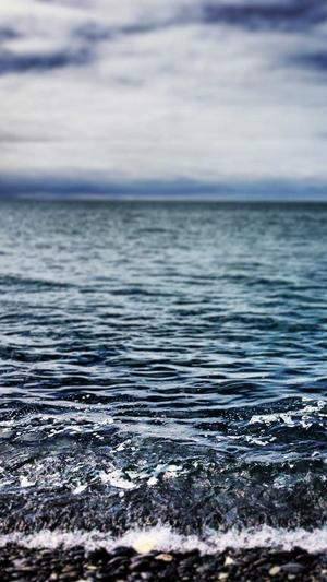 无名新闻蜘蛛池程序截图4