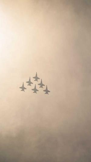 强引蜘蛛池课程截图1