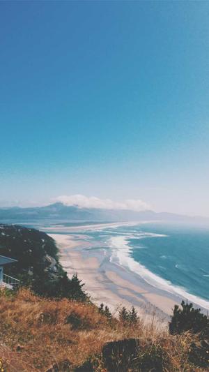 seo查询工具大全截图2