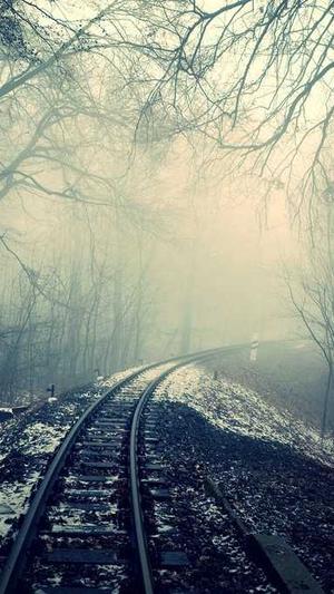 网站建设开发简介截图3