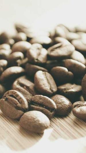 百度蜘蛛池出租提供商截图3