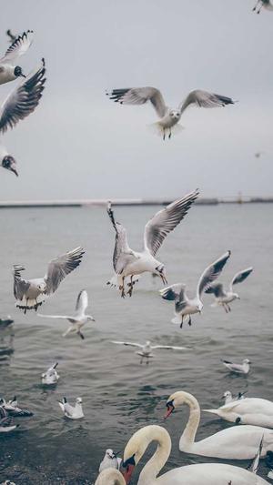 深圳seo优化截图1