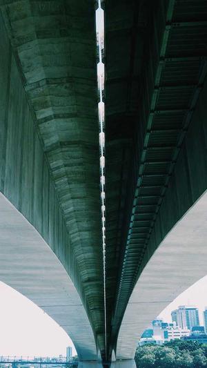 蜘蛛池需要哪些东西截图2