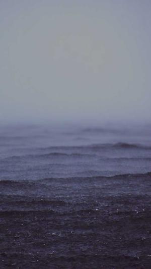 蜘蛛池是什么意思截图1